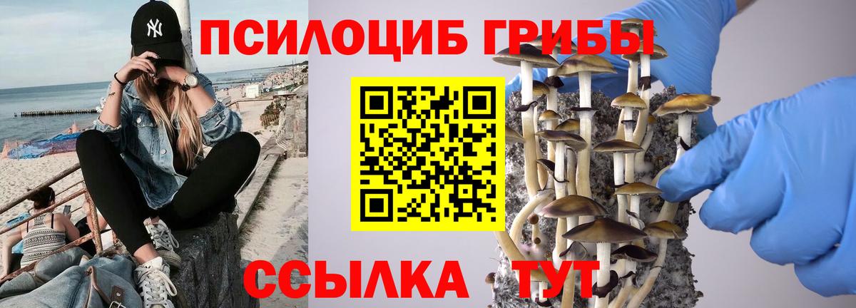 Галлюциногенные грибы Magic Shrooms Касимов