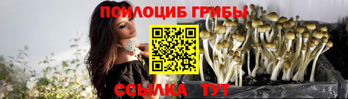 Касимов  Галлюциногенные грибы GOLDEN TEACHER  Вход с VPN  Галлюциногенные грибы мухоморы 